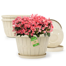 Quarut wine-barrel design 10-inch pot adds a classic touch to indoor décor