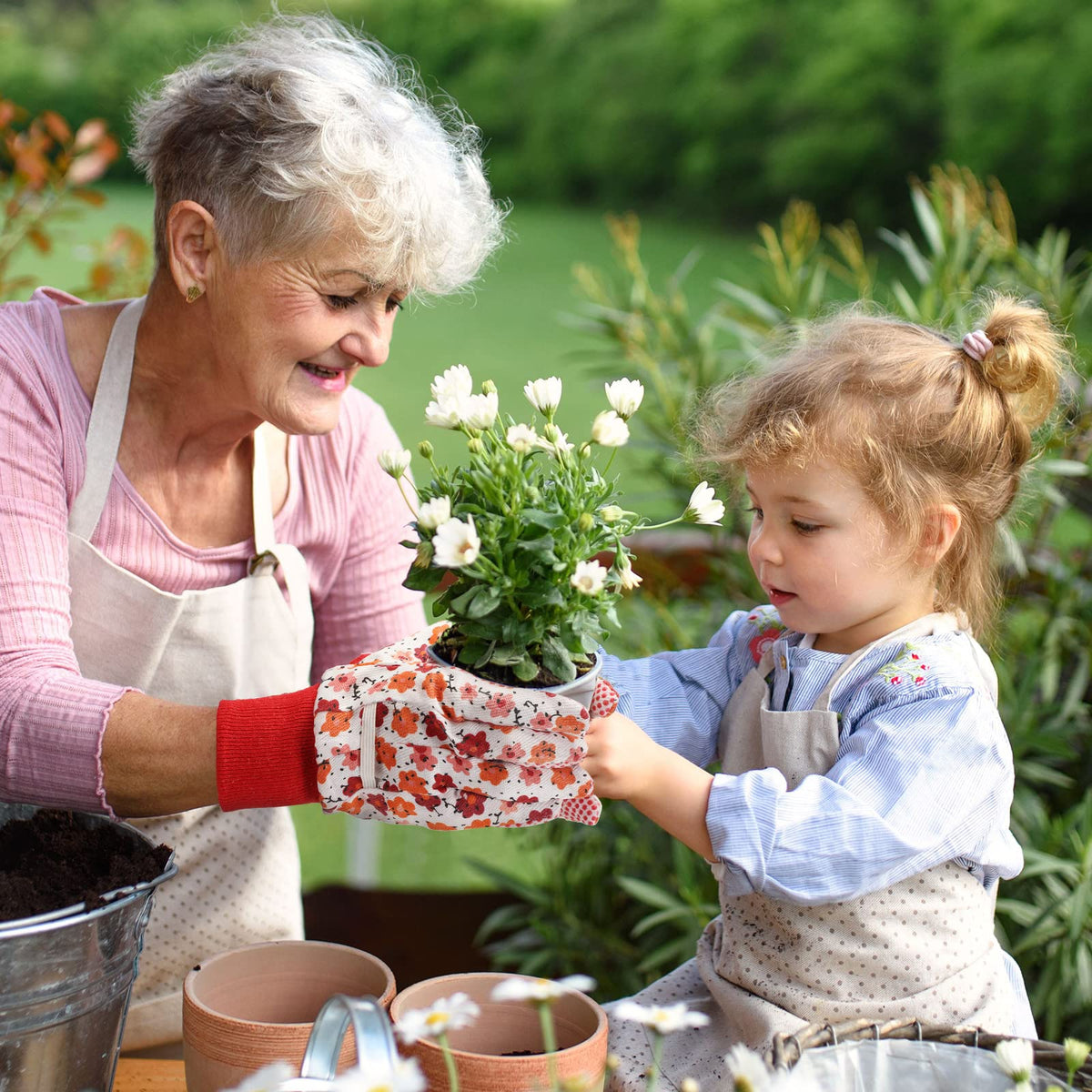 Queekay 8-pairs packaging showcases variety and value for home gardens.