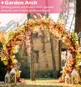 Queension backdrop stand usable indoors or outdoors for events