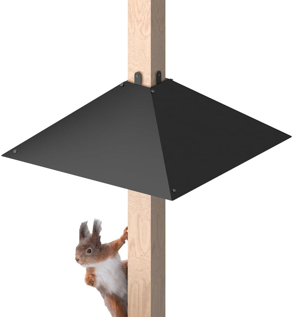 Queension metal squirrel baffle around a 4x4 post for secure bird feeder protection.