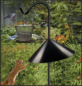 Queension slippery-surface baffle demonstrates curved design that makes squirrels slide away