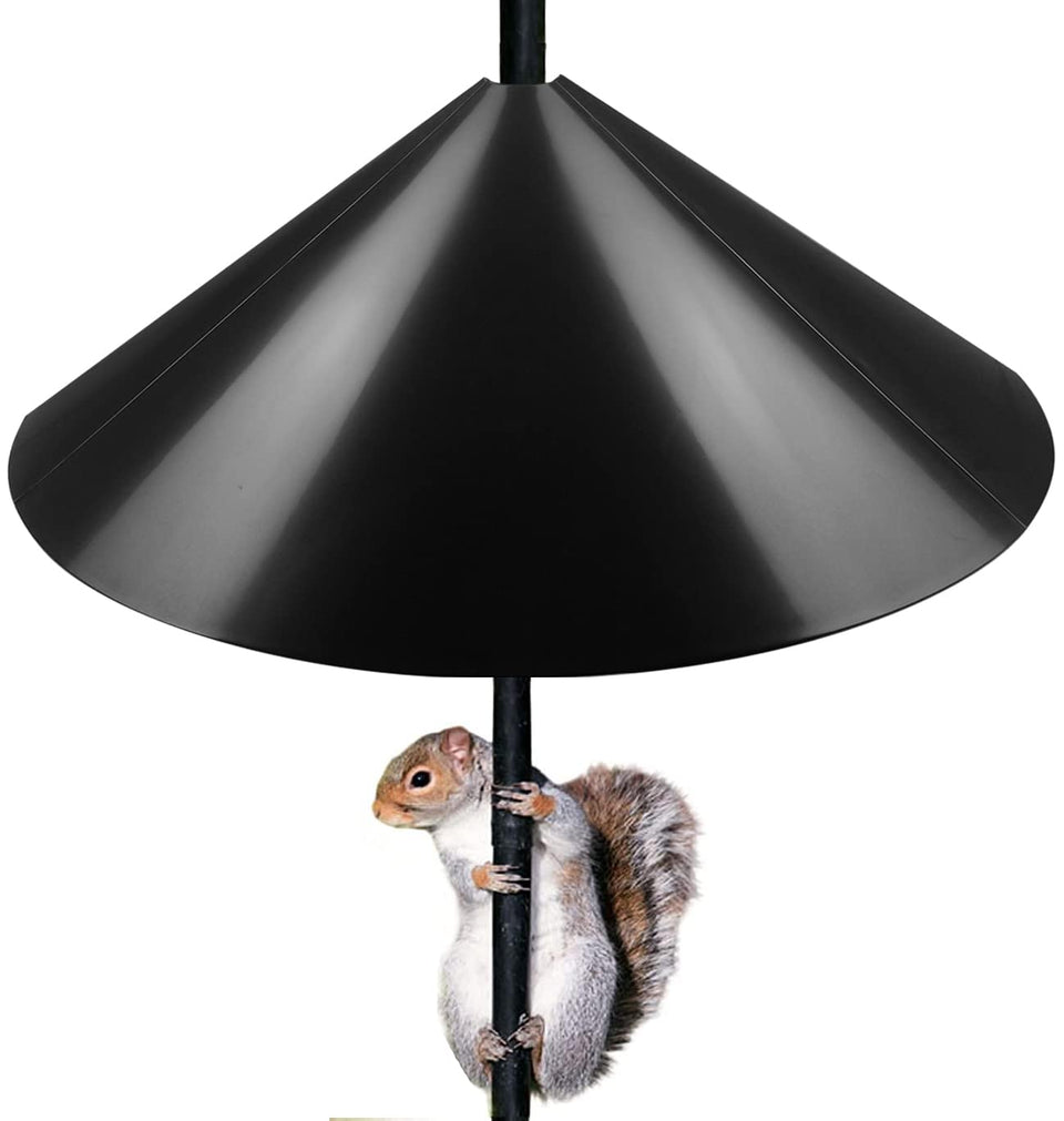 Queension Squirrel Proof Baffle on a pole shields bird feeders from climbing squirrels.