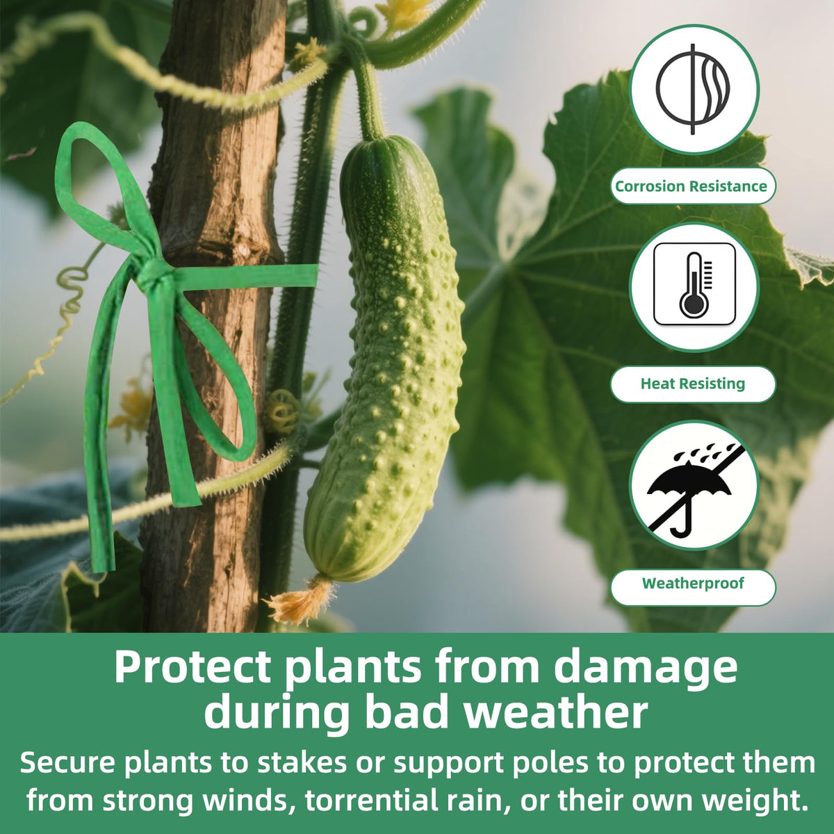 QenFree rose-climbing twine supports roses and vines with a discreet green color.