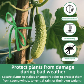 QenFree rose-climbing twine supports roses and vines with a discreet green color.