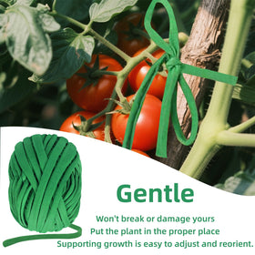 QenFree tomato-stem support twine secures tomato plants with an adjustable grip.