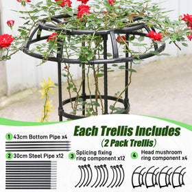 Quibbay easy-assembly trellis lets you set up quickly