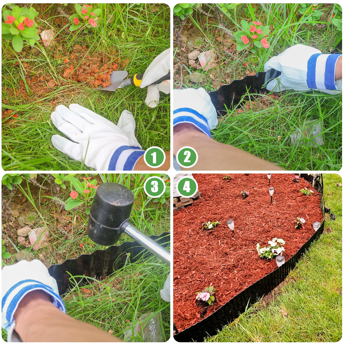 Quibbay 50ft border helps separate beds, paths, and lawn areas