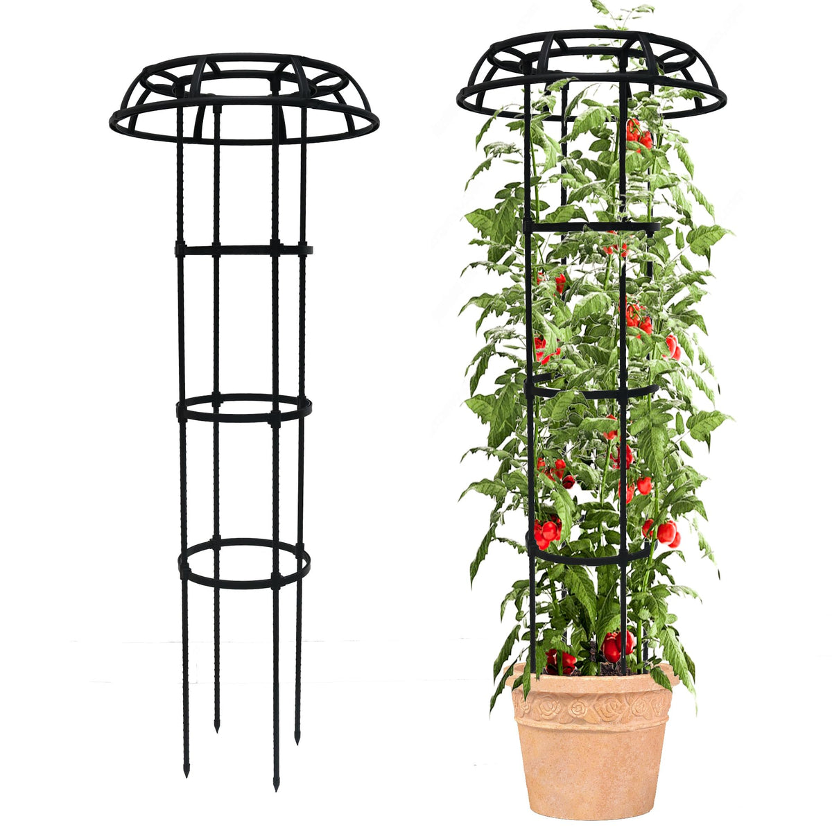 Quibbay garden trellis with mushroom top offers sturdy outdoor plant support