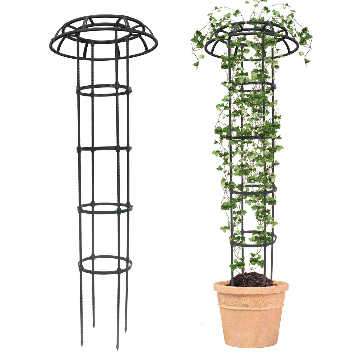 Quibbay garden trellis with mushroom top supports climbing plants in outdoor spaces