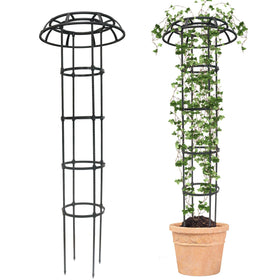 Quibbay garden trellis with mushroom top supports climbing plants in outdoor spaces