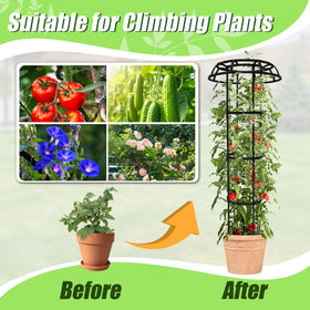 Quibbay night-time trellis setup for hanging lights