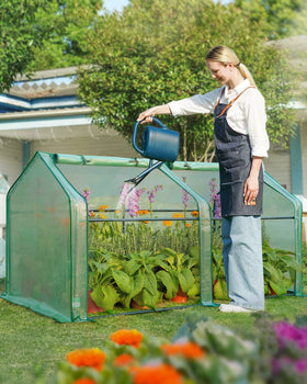 Quictent Mini Greenhouse tabletop-setup supports indoor seed starts with stable warming.
