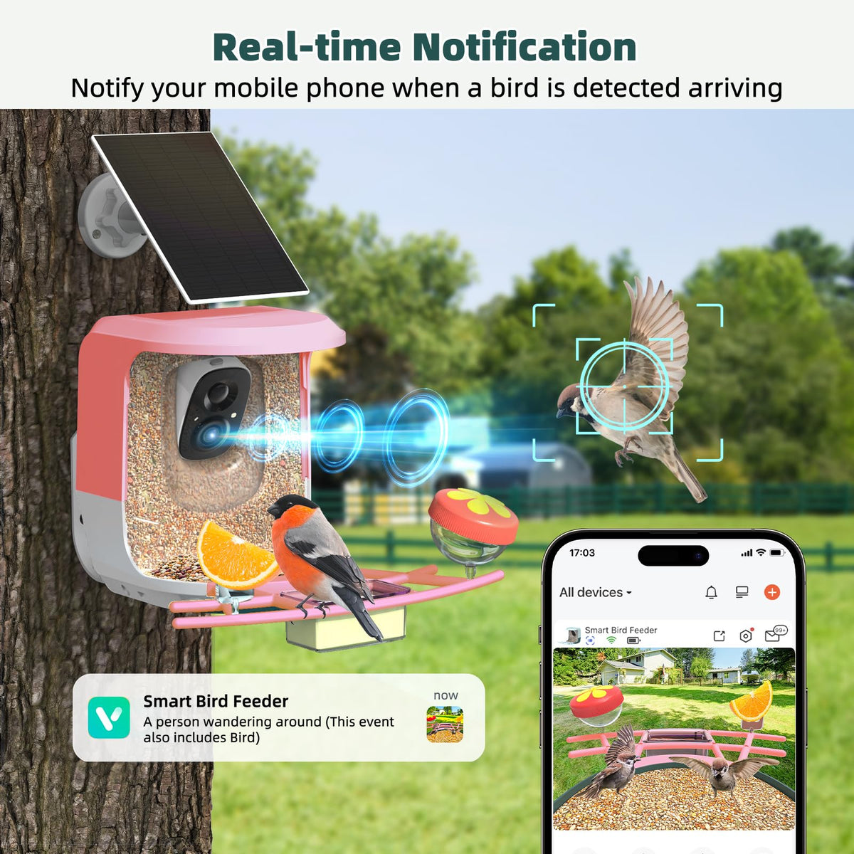 QUICTIGRY Bird Feeder Hopper 1.25L stores ample seed for birds.