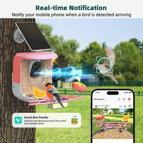 QUICTIGRY Bird Feeder Hopper 1.25L stores ample seed for birds.