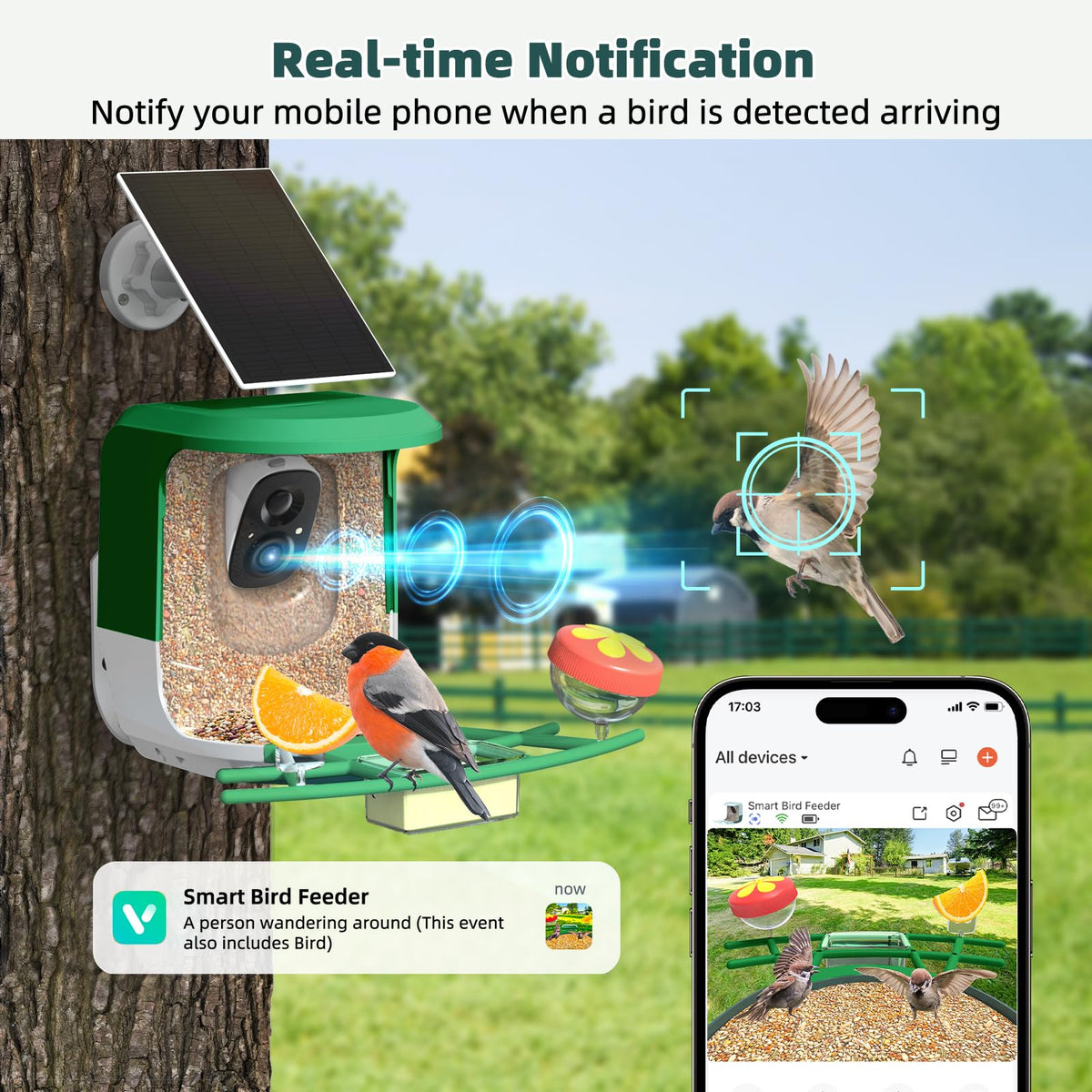 QUICTIGRY 2K night view of birds on green feeder
