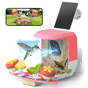 QUICTIGRY Smart Bird Feeder Camera with solar panel captures daytime views and saves energy.