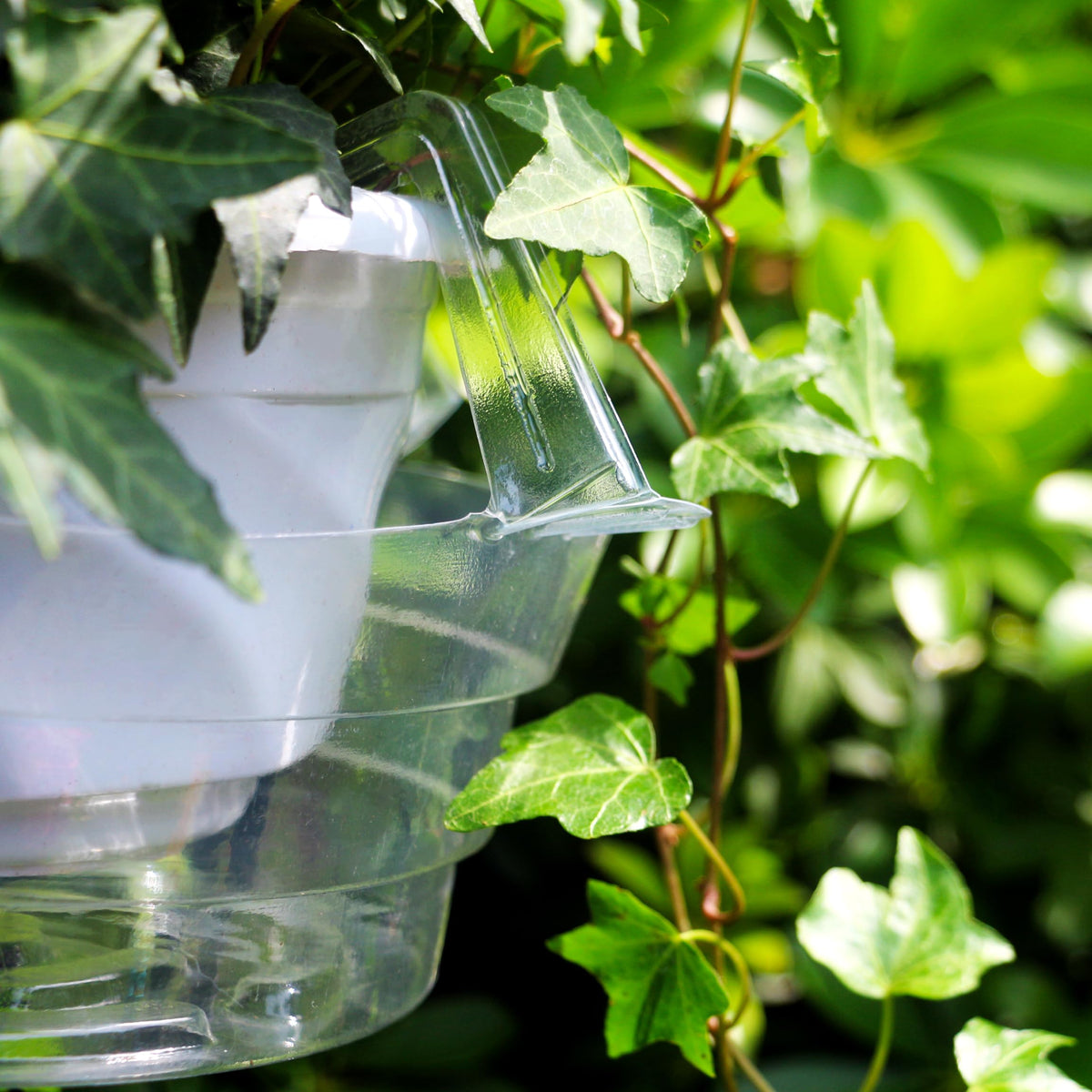 Quintriae compatible with 11–12 inch pots for proper fit.