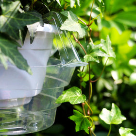 Quintriae compatible with 11–12 inch pots for proper fit.
