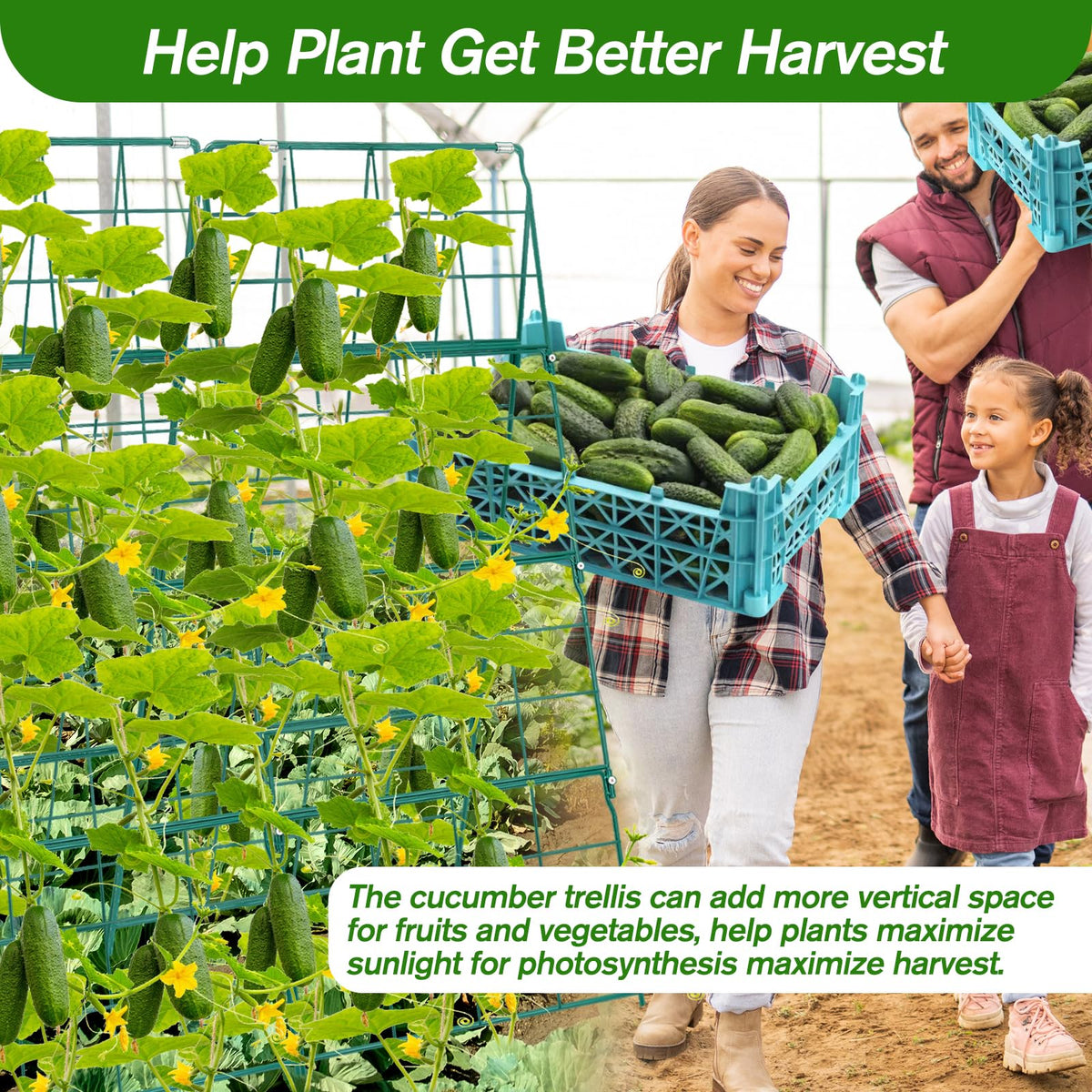 Qinzave cucumber trellis improves air flow around vines for healthier growth