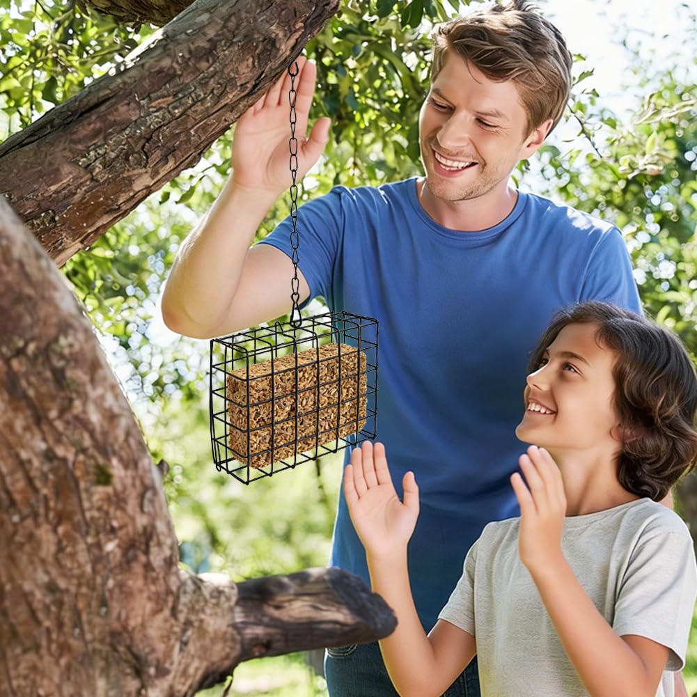 Quivorant view-friendly feeder lets observers watch visiting birds.