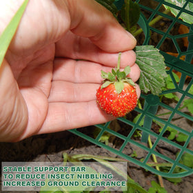 Qumenan strawberry support easy disassembly for compact storage after season.