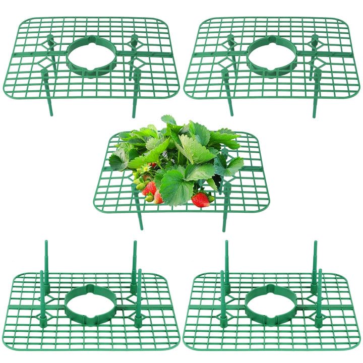 Qumenan strawberry support square assembly for easy garden setup and stability.