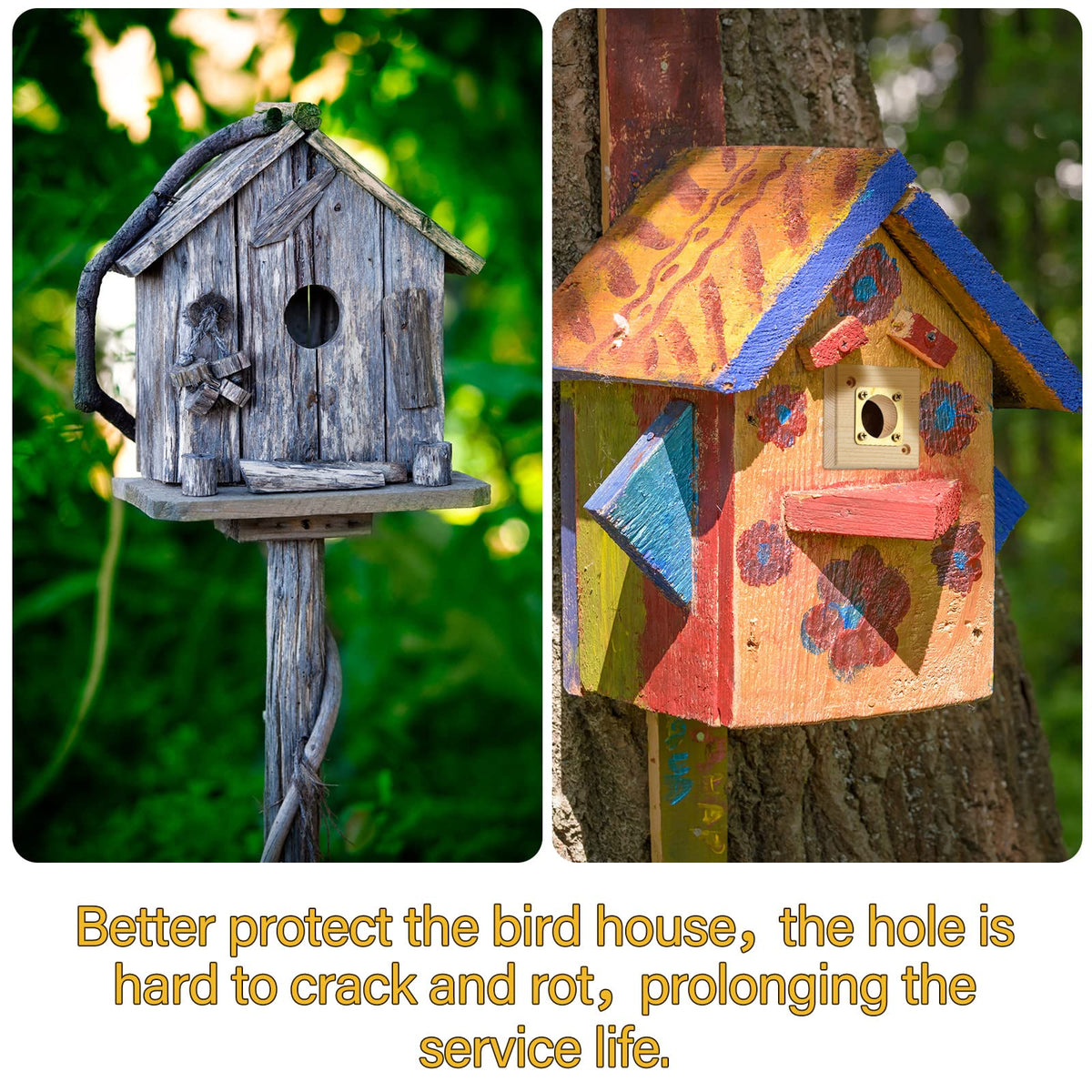 Qunclay metal and wood guard offers durable, weather-resistant protection for outdoor bird houses.