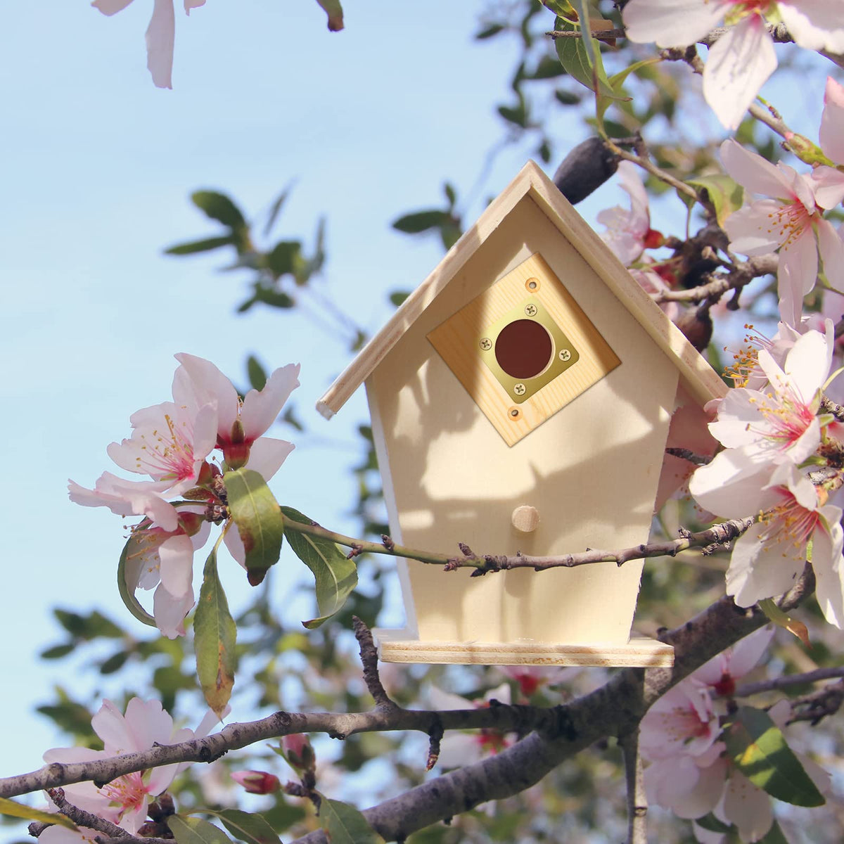 Qunclay two-pack bird guard kit simplifies multi-location installation.
