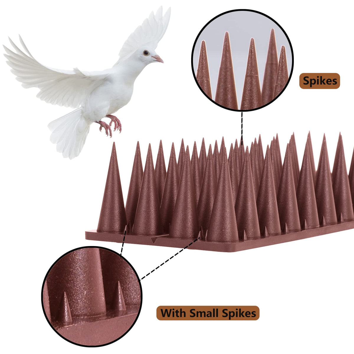 Quunoot Bird Spikes installed on a fence prevent birds and small pests.