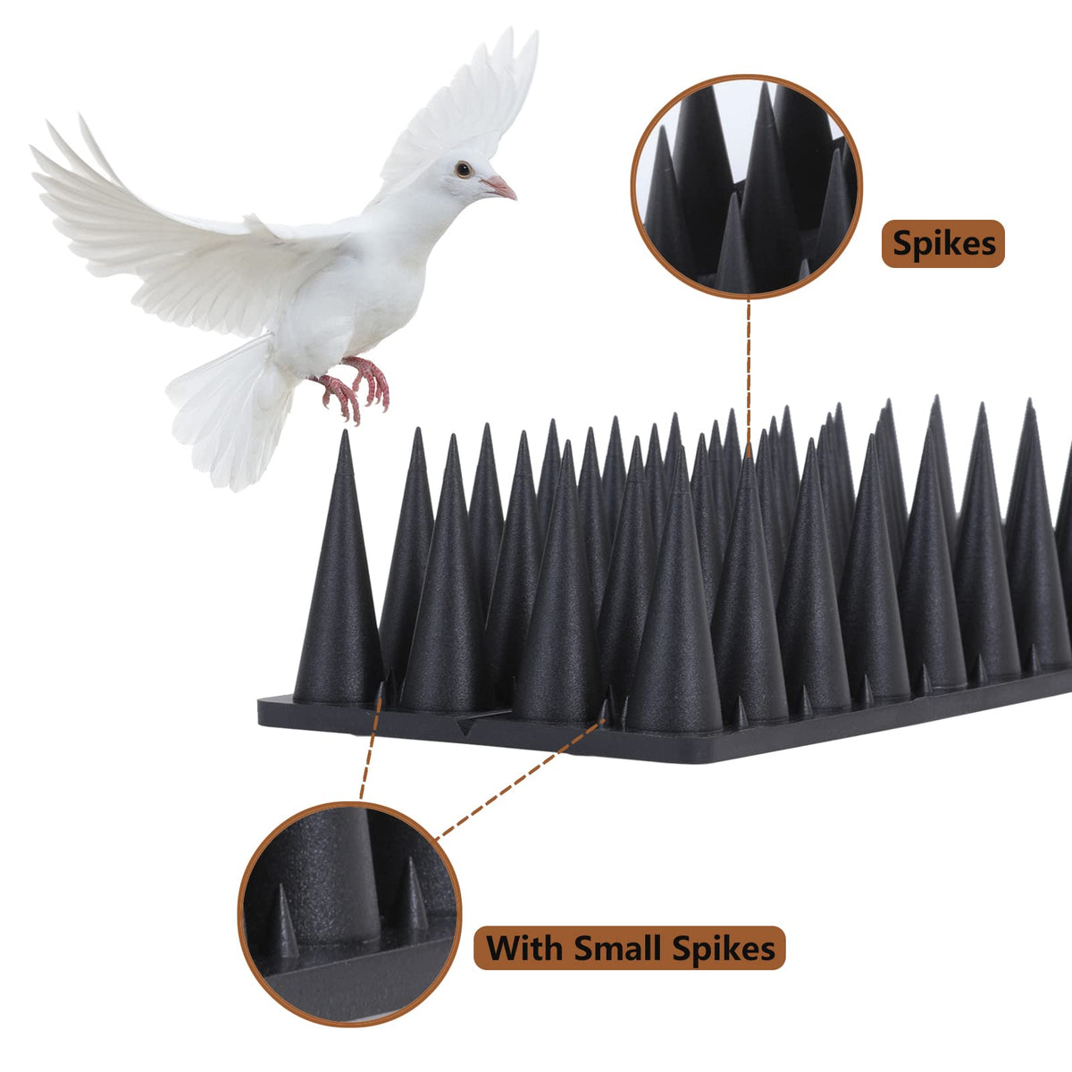 Quunoot Bird Spikes installed on a fence prevent perching and droppings.