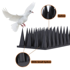 Quunoot Bird Spikes installed on a fence prevent perching and droppings.