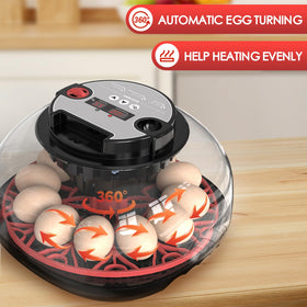 QVKHPCL incubator features dual 500ml water tanks for humidity control.
