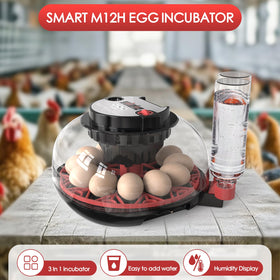 QVKHPCL incubator showing PID temperature control for stable incubation.