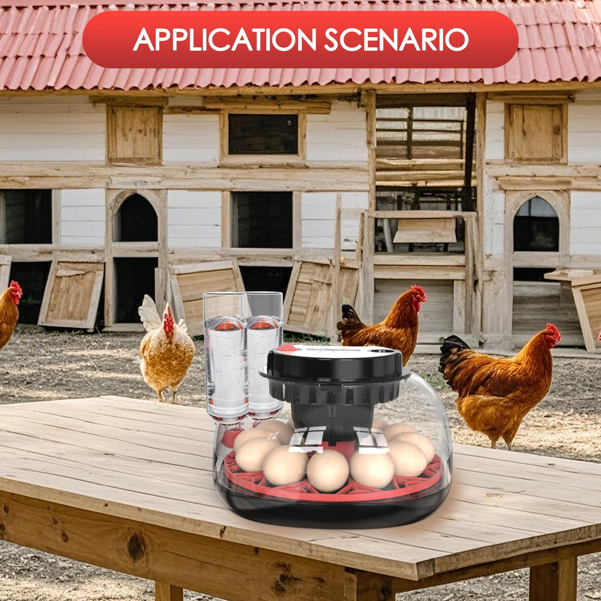 QVKHPCL incubator viewing window with LED candler for easy embryo checks.
