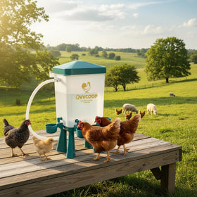 QVVCOOP blue waterer supplies reliable hydration for your flock.