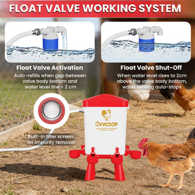 QVVCOOP detachable ports simplify cleaning and daily maintenance.