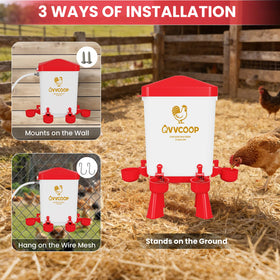 QVVCOOP elevated water dispenser provides easy access and cleaner coop setup.