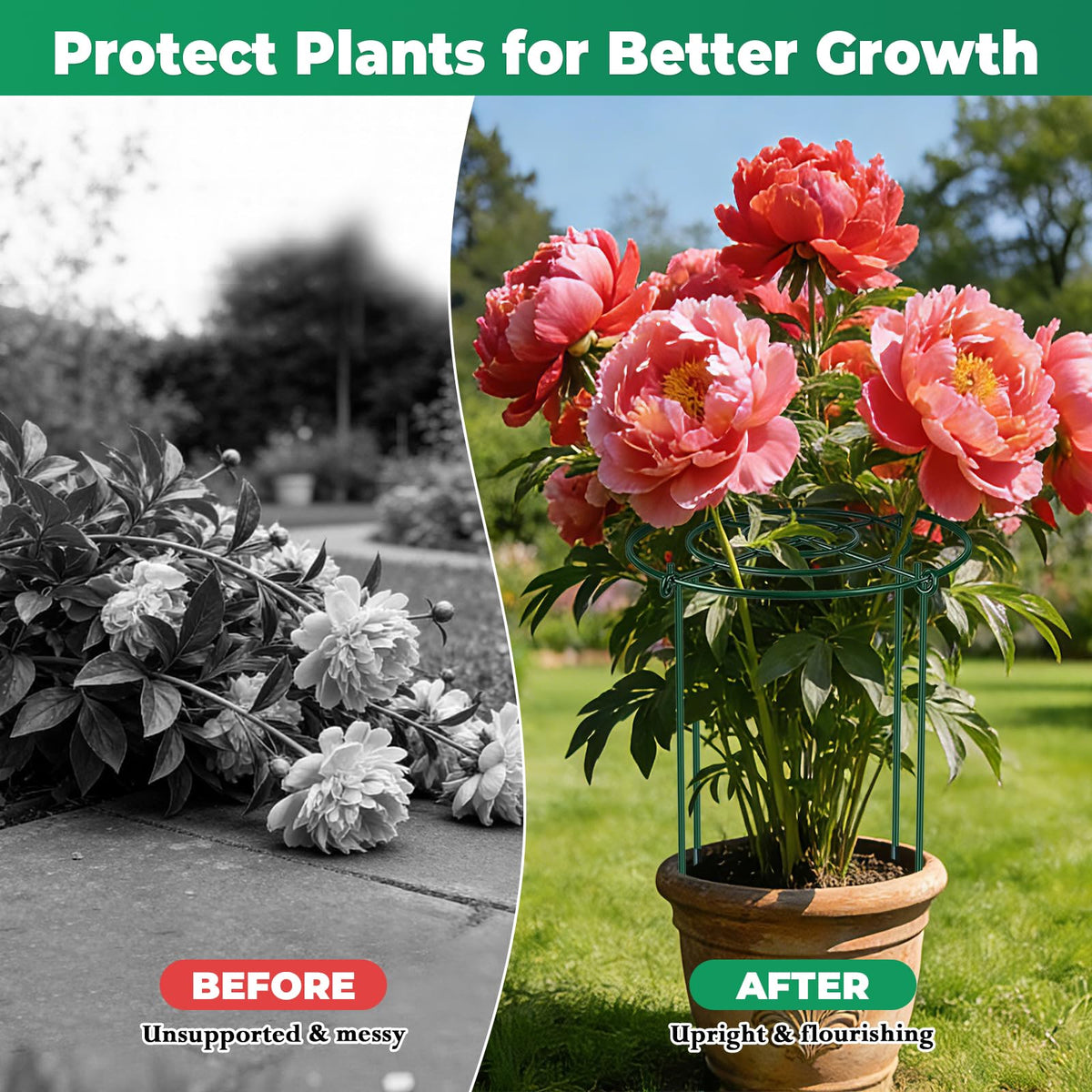 QwayHome rust-resistant coating keeps cages durable in all weather conditions.