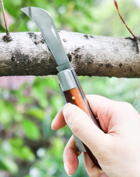 QWORK grafting cutter in use demonstrates manual grafting and budding.