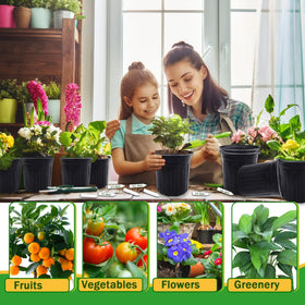 Qyyiguf versatile pots suitable for succulents, herbs, cuttings and transplanting.