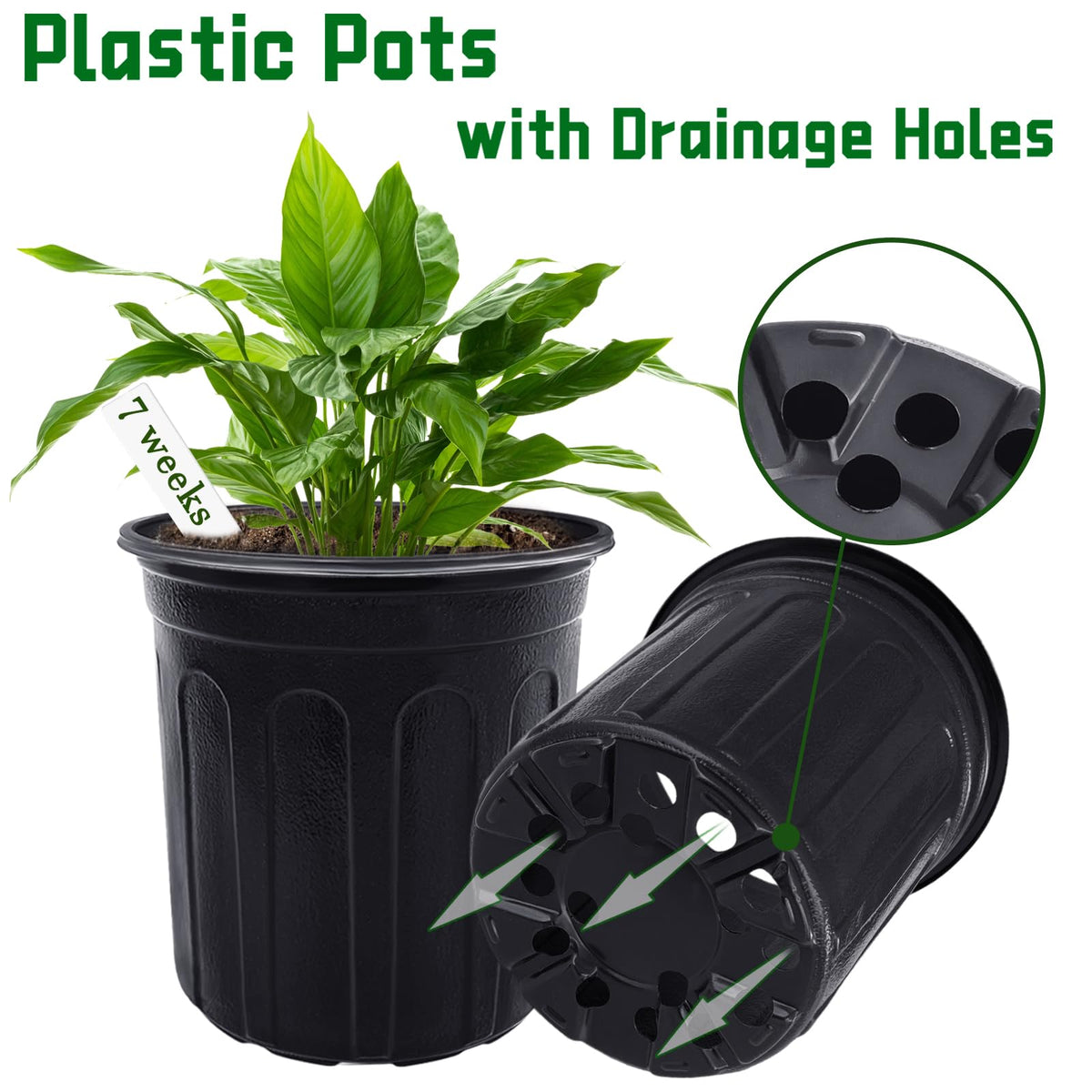 Qyyiguf white label seedling pots for easy plant labeling.