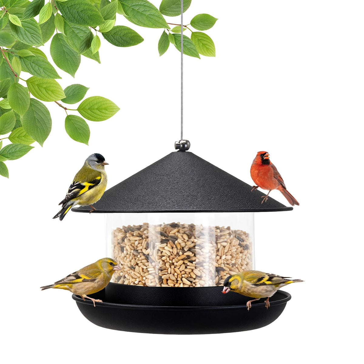 QZLOHOM Wild Bird Feeder with large capacity keeps seeds dry and accessible.