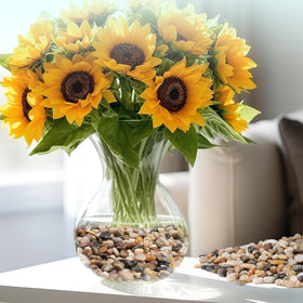 Rahato decorative stones for bamboo plants create elegant, healthy looking arrangements.