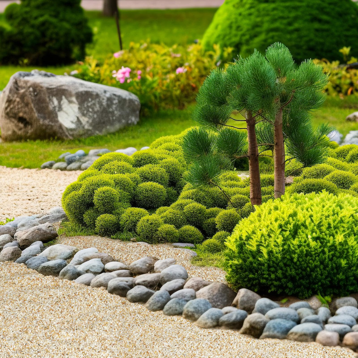 Rahato desert sand for cacti enhances planter aesthetics and drainage.