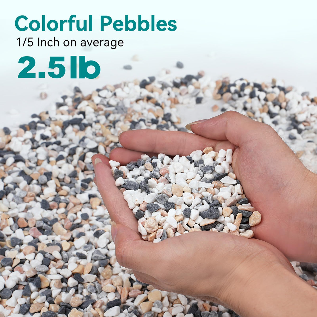 Rahato drainage rocks keep potting mix layered for steady moisture management.