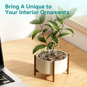 Rahato drainage stones help protect roots and reduce soil erosion.