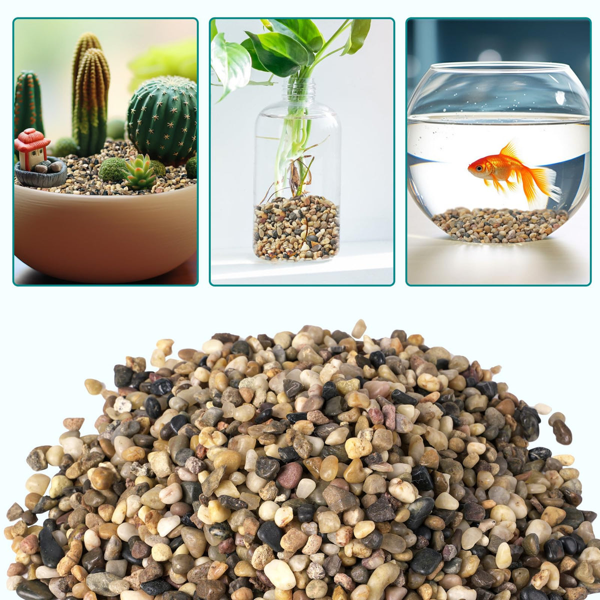 Indoor gardens and rooftop planters enjoy easy care and long-lasting color.