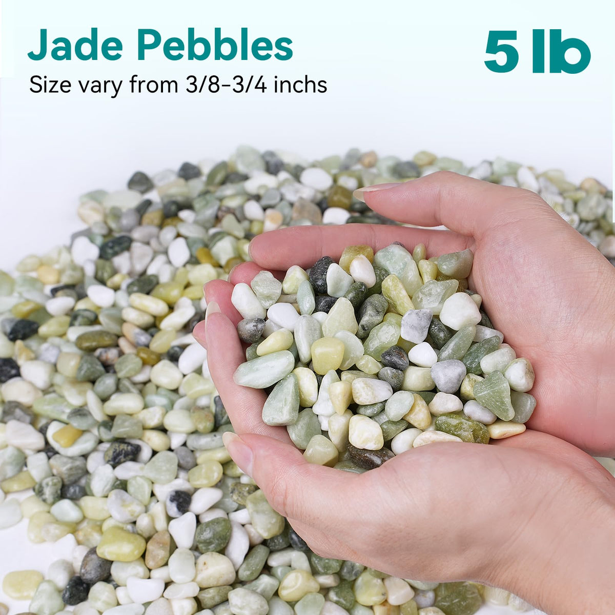 Rahato Jade Pebbles 3/8 inch for indoor plants enhance drainage and aesthetics