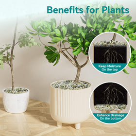 Rahato Jade Pebbles vase fillers create elegant tabletop accents