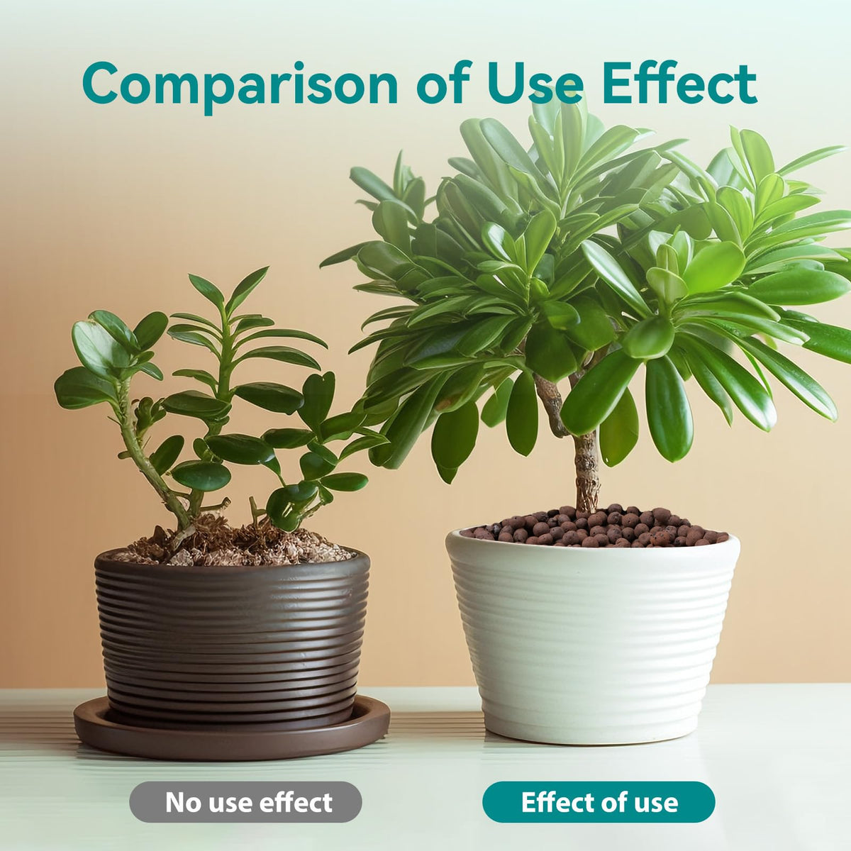 Rahato LECA aeration and water release helps balance watering.